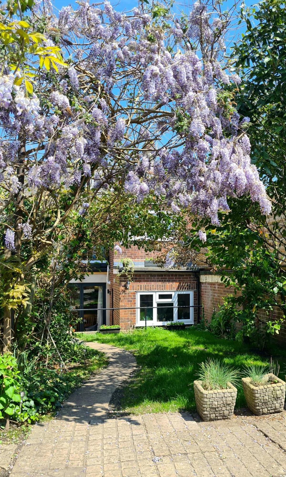 The Hideaway - Luxury Townhouse Villa Wareham Exterior photo